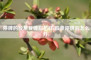 停牌的股票复牌后怎样(股票停牌后怎么办)