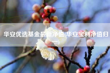 华安优选基金最新净值(华安宝利净值归一)