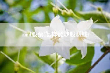 amd股票(怎样能炒股赚钱)