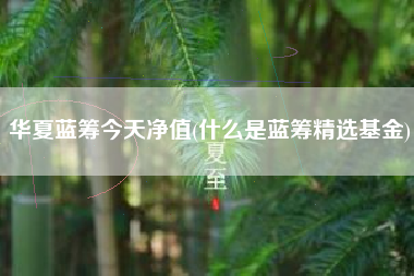 华夏蓝筹今天净值(什么是蓝筹精选基金)