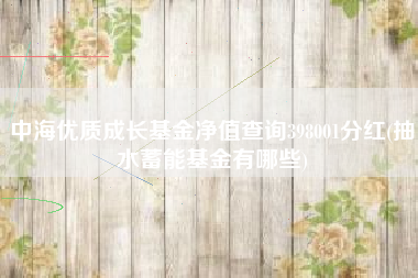 中海优质成长基金净值查询398001分红(抽水蓄能基金有哪些)