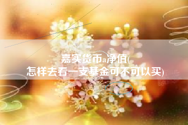 嘉实货币a净值(
怎样去看一支基金可不可以买)