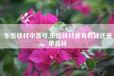 详细阅读:东岳硅材中签号,东岳硅材是有机硅还是单晶硅 东岳硅材中签号,东岳硅材是有机硅还是单晶硅