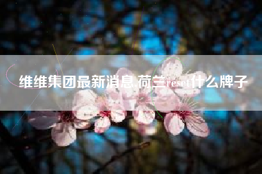 详细阅读:维维集团最新消息,荷兰reset什么牌子 维维集团最新消息,荷兰reset什么牌子