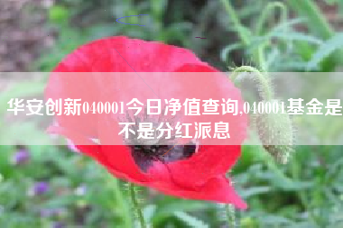 详细阅读:华安创新040001今日净值查询,040001基金是不是分红派息 华安创新040001今日净值查询,040001基金是不是分红派息
