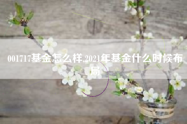 详细阅读:001717基金怎么样,2021年基金什么时候布局 001717基金怎么样,2021年基金什么时候布局
