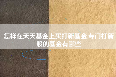 详细阅读:怎样在天天基金上买打新基金,专门打新股的基金有哪些 怎样在天天基金上买打新基金,专门打新股的基金有哪些