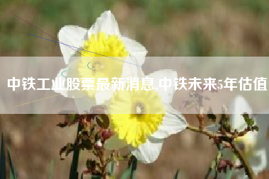 详细阅读:中铁工业股票最新消息,中铁未来5年估值 中铁工业股票最新消息,中铁未来5年估值
