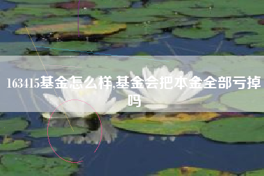 详细阅读:163415基金怎么样,基金会把本金全部亏掉吗 163415基金怎么样,基金会把本金全部亏掉吗