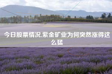 详细阅读:今日股票情况,紫金矿业为何突然涨得这么猛 今日股票情况,紫金矿业为何突然涨得这么猛