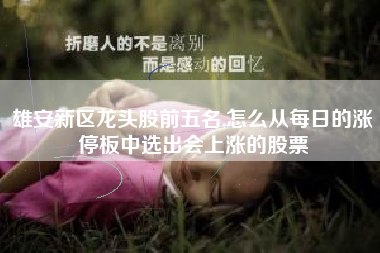 雄安新区龙头股前五名,怎么从每日的涨停板中选出会上涨的股票