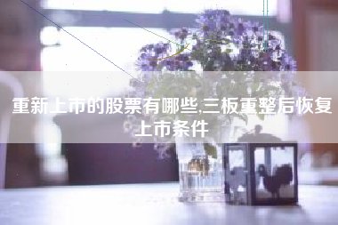 重新上市的股票有哪些,三板重整后恢复上市条件