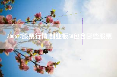 300677股票行情,创业板50包含哪些股票