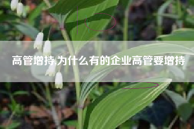 高管增持,为什么有的企业高管要增持