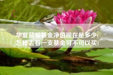 华夏蓝筹基金净值现在是多少(
怎样去看一支基金可不可以买)
