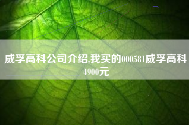威孚高科公司介绍,我买的000581威孚高科4900元