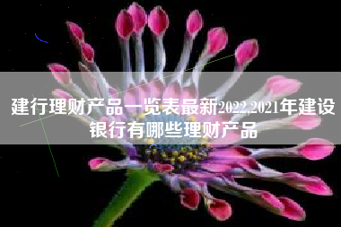建行理财产品一览表最新2022,2021年建设银行有哪些理财产品
