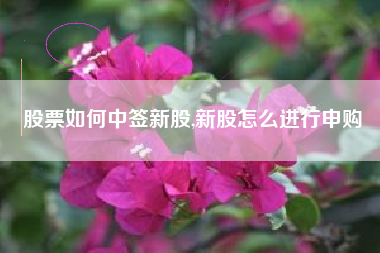 股票如何中签新股,新股怎么进行申购