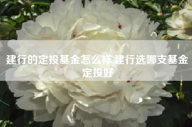 建行的定投基金怎么样,建行选哪支基金定投好