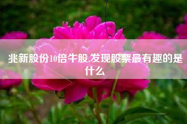 兆新股份10倍牛股,发现股票最有趣的是什么