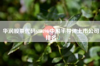 华润股票代码688396,中国半导体上市公司排名