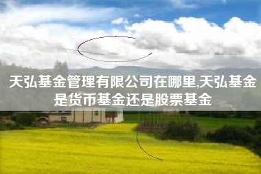 天弘基金管理有限公司在哪里,天弘基金是货币基金还是股票基金