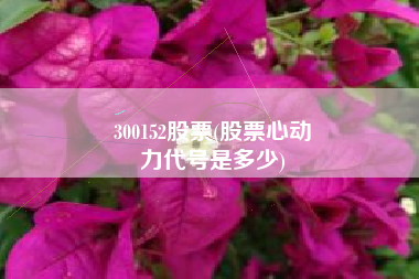300152股票(股票心动
力代号是多少) 300152股票(股票心动
力代号是多少)