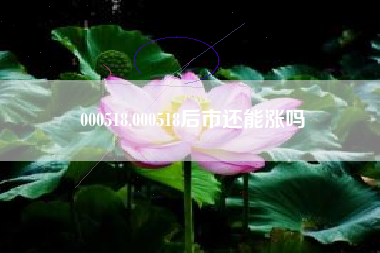000518,000518后市还能涨吗