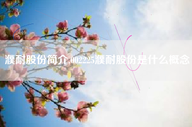 濮耐股份简介,002225濮耐股份是什么概念