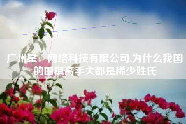 广州星垚网络科技有限公司,为什么我国的围棋高手大都是稀少姓氏