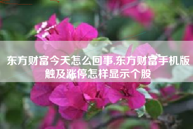 东方财富今天怎么回事,东方财富手机版触及涨停怎样显示个股