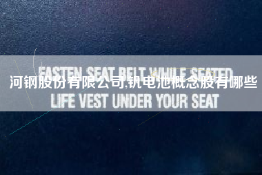 河钢股份有限公司,钒电池概念股有哪些