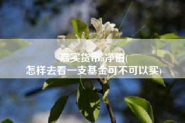 嘉实货币a净值(
怎样去看一支基金可不可以买)