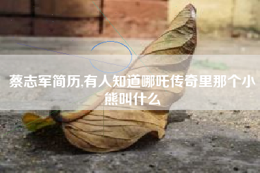 详细阅读:蔡志军简历,有人知道哪吒传奇里那个小熊叫什么 蔡志军简历,有人知道哪吒传奇里那个小熊叫什么