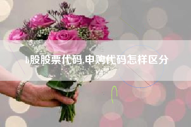 详细阅读:b股股票代码,申购代码怎样区分 b股股票代码,申购代码怎样区分