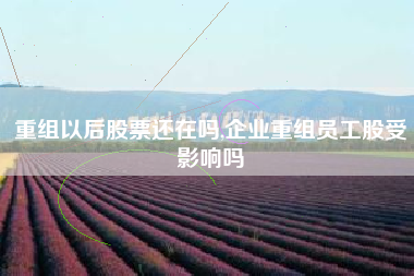 详细阅读:重组以后股票还在吗,企业重组员工股受影响吗 重组以后股票还在吗,企业重组员工股受影响吗