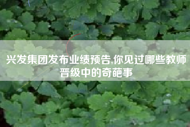 详细阅读:兴发集团发布业绩预告,你见过哪些教师晋级中的奇葩事 兴发集团发布业绩预告,你见过哪些教师晋级中的奇葩事