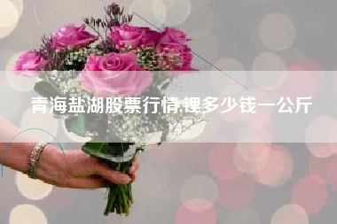 详细阅读:青海盐湖股票行情,锂多少钱一公斤 青海盐湖股票行情,锂多少钱一公斤