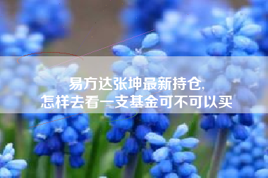 易方达张坤最新持仓,
怎样去看一支基金可不可以买