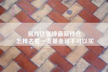 易方达张坤最新持仓,
怎样去看一支基金可不可以买