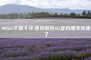 详细阅读:002663千股千评,普邦股份681定向增发给谁了 002663千股千评,普邦股份681定向增发给谁了