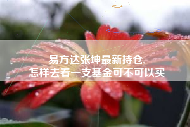 易方达张坤最新持仓,
怎样去看一支基金可不可以买