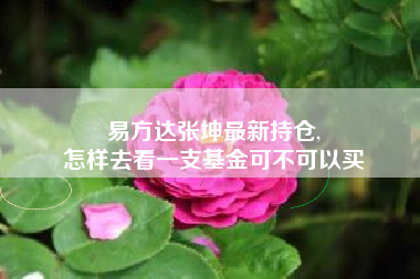 易方达张坤最新持仓,
怎样去看一支基金可不可以买