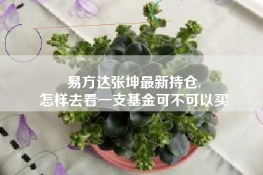 易方达张坤最新持仓,
怎样去看一支基金可不可以买