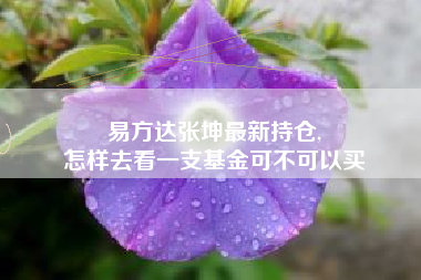 易方达张坤最新持仓,
怎样去看一支基金可不可以买