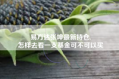 易方达张坤最新持仓,
怎样去看一支基金可不可以买