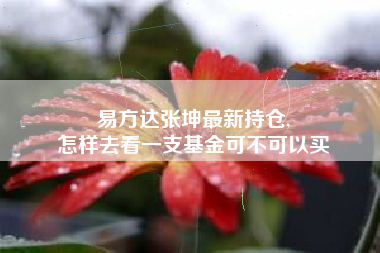 易方达张坤最新持仓,
怎样去看一支基金可不可以买