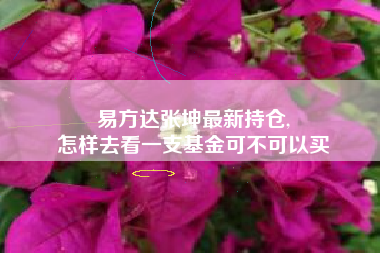 易方达张坤最新持仓,
怎样去看一支基金可不可以买