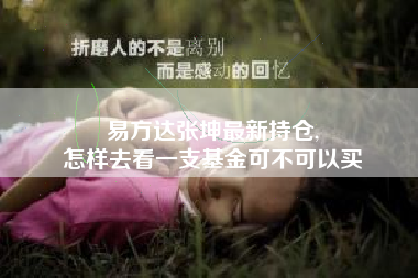 易方达张坤最新持仓,
怎样去看一支基金可不可以买