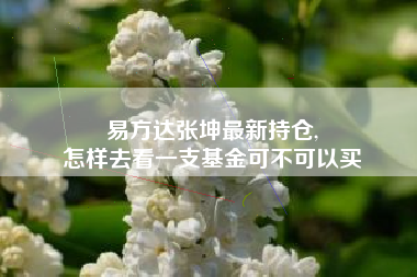 易方达张坤最新持仓,
怎样去看一支基金可不可以买